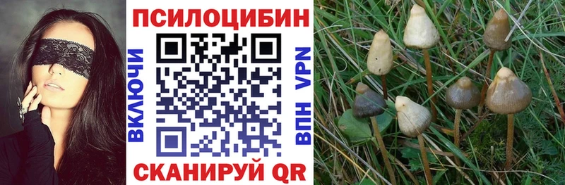 Псилоцибиновые грибы GOLDEN TEACHER  Байкальск 