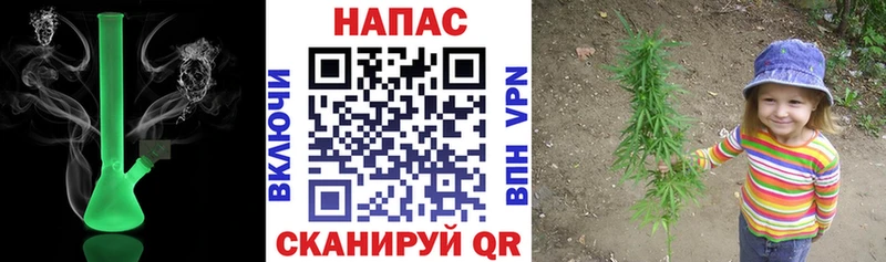 Конопля гибрид Байкальск